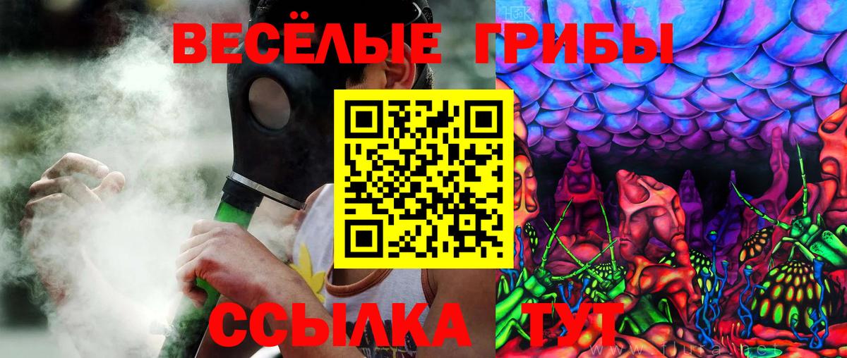 Галлюциногенные грибы Psilocybe Ливны