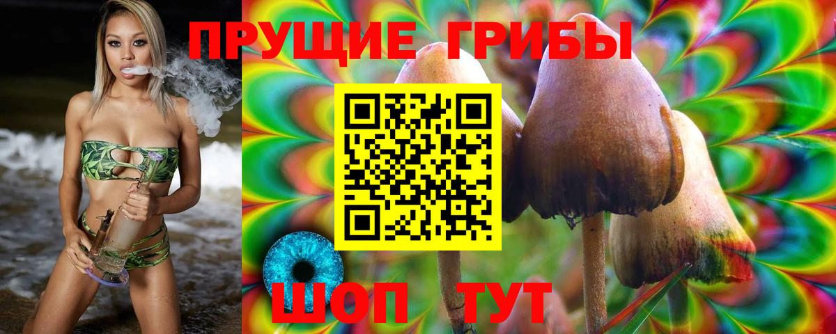 Ливны  Псилоцибиновые грибы мицелий  Вход с VPN 